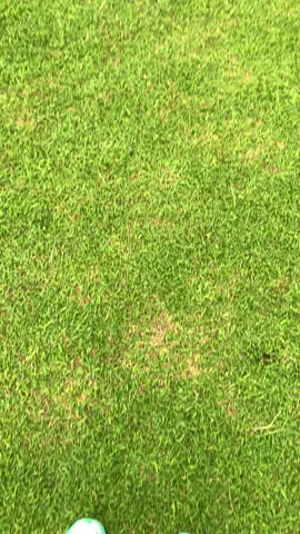 #tniau #swabuwanapaksa 