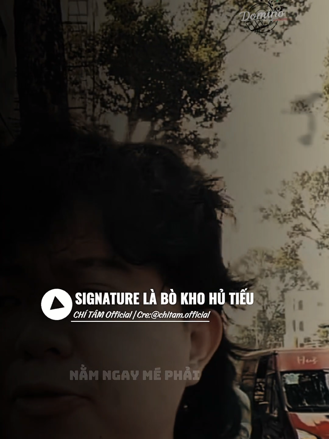 SIGNATURE LÀ BÒ KHO HỦ TIẾU .#signature #chitam #dominomusic #nhachaymoingay #bokho 