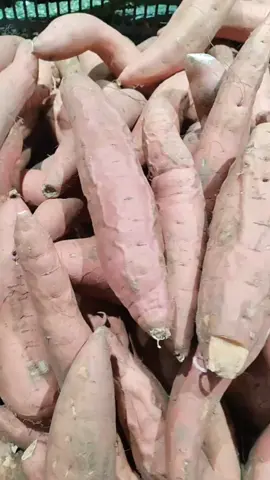 Gì vậy trời 😒#khoanhkhacdangyeu 