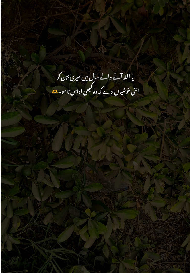 Ameen🫶🥺#fyp #grow #poetry #viralvideos #aestheticvideos 