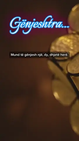 Gënjeshtra ves i shëmtuar... #Sinqeriteti #EVertetaTeLidh #Besimi #GjithckaKaFund #Reflektim