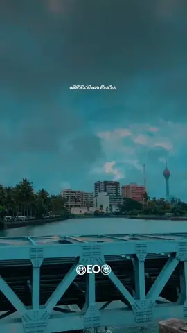 #foryou #foryoupage #trending #viral #fyp @රාධාවණී 🌸 