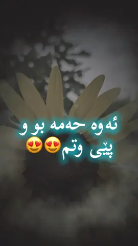 🦦🦦🦦😂😂😂.     بینێرە بۆ حەمە ناوێک.      #کوردستان🇹🇯️ #سلێمانی #هەولێر #fyp #هەڵەبجە 