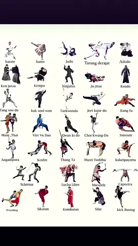 #fyp#tarungderajat #aaboxer #xybca#cewetarungderajat 