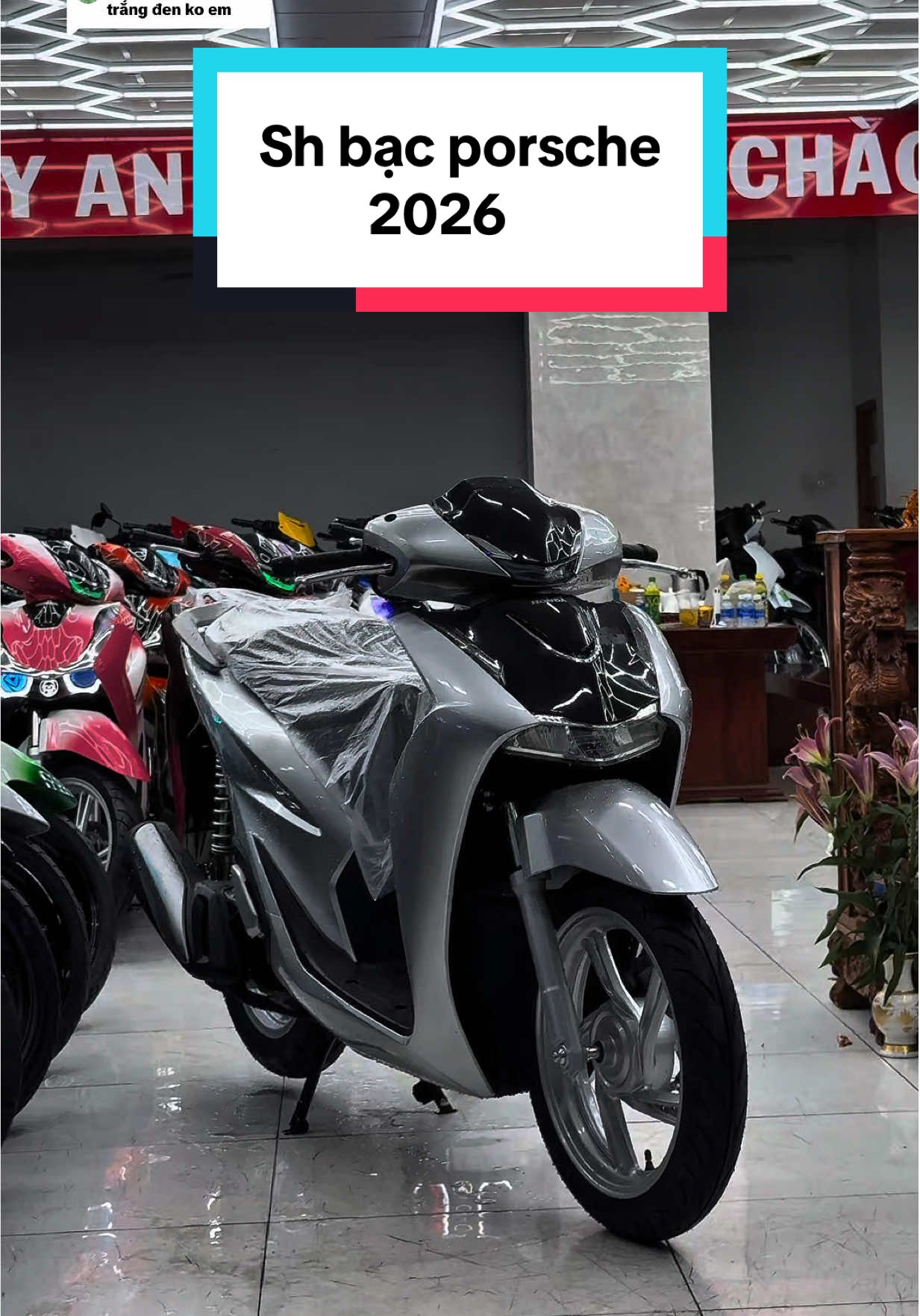 Trả lời @Anh Dược Sĩ 🧑‍⚕️ Sh bạc porsche 2026  #thanhthoiluottet #trishbinhduong #hotrimotor #shbacden2026 #shbacporsche 