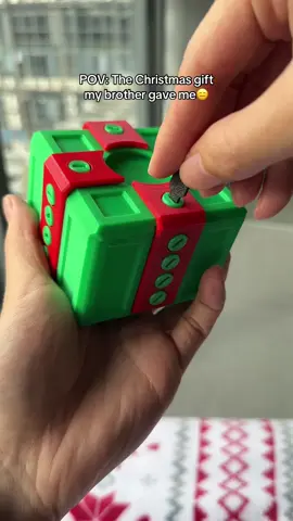 That moment you open your brother’s Christmas gift…#ChristmasGift #Christmas #Prank #Funny #Annoying 