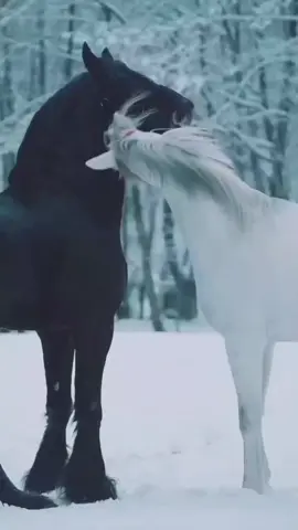 المرأه التي لا تعوض  هي التي تجعل الحياة مليئة بالذكريات الجميله 💜 #اقتباسات  #ستوريات  #خواطر  #عبارات  #اقوال_وحكم_الحياة 