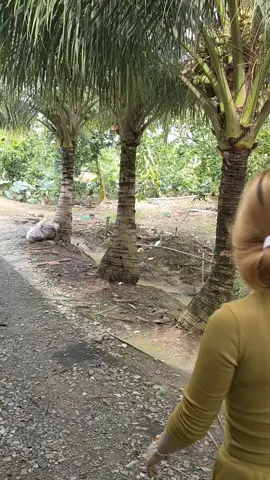 Già rồi ai đâu mà cưới 😊#medonthan #ti̇ktok 