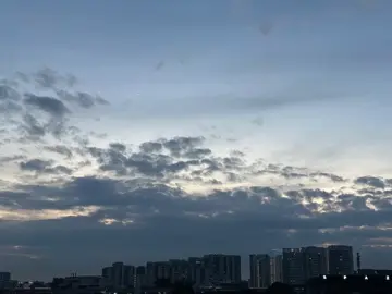 أغنية للتاريخ والله ✨ #كلام_فرسان #ويجز #محمد_منير #foryou #viral 