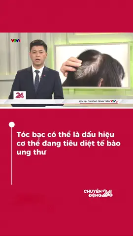 Tóc bạc có thể là dấu hiệu cơ thể tiêu diệt tế bào ung thư #chuyendong24h #vtvdigitlal 
