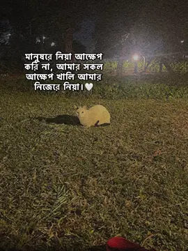 #jahidmiftah #feniyan #jahid 