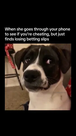 Embarrassing 😔 #betting #gambling #predictionmarket #fyp 