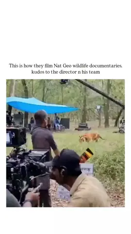 How old were you when you found out THIS wasn’t what you thought it was? 😅  Be honest.” #HowOldWereYou #IKnewTooLate #LifeIsFunny #TikTokFunny #FYP  