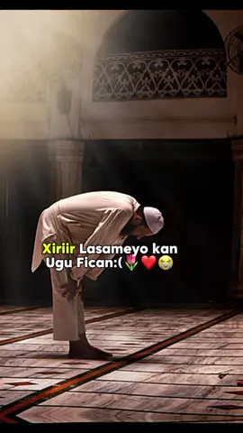 الصلاةالصلاة الصلاة#الصلاة #@WππB~πT°!🧃🫧🕷️📿 