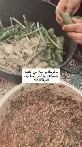 حَـبيبتي❤️. #اكسبلور #لايك #explore #امي #لايكات 