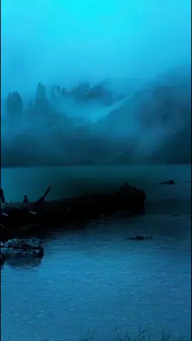 بِسْمِ اللّٰهِِ الرَّحْمَنِ الرَّحِيْم #راحه_نفسيه🖤🎧 #عبدالرحمن_مسعد🖤🎧 #سوره_العنكبوت_القاري_عبد_الرحمن_مسعد🖤🎧 