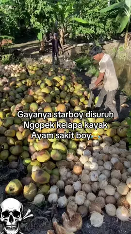 #petanikelapa🌴🌴 #xybca #fypppppppppppppppppppppppppppppp 