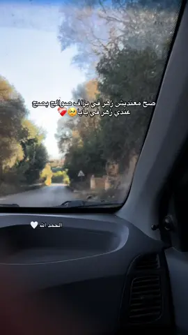 #explore #foryoupage #fyp 