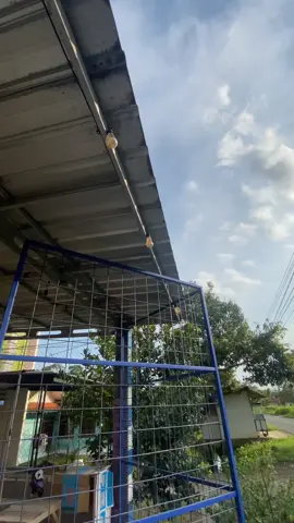 😝#4youpage #beatuyii #fy #fyp 