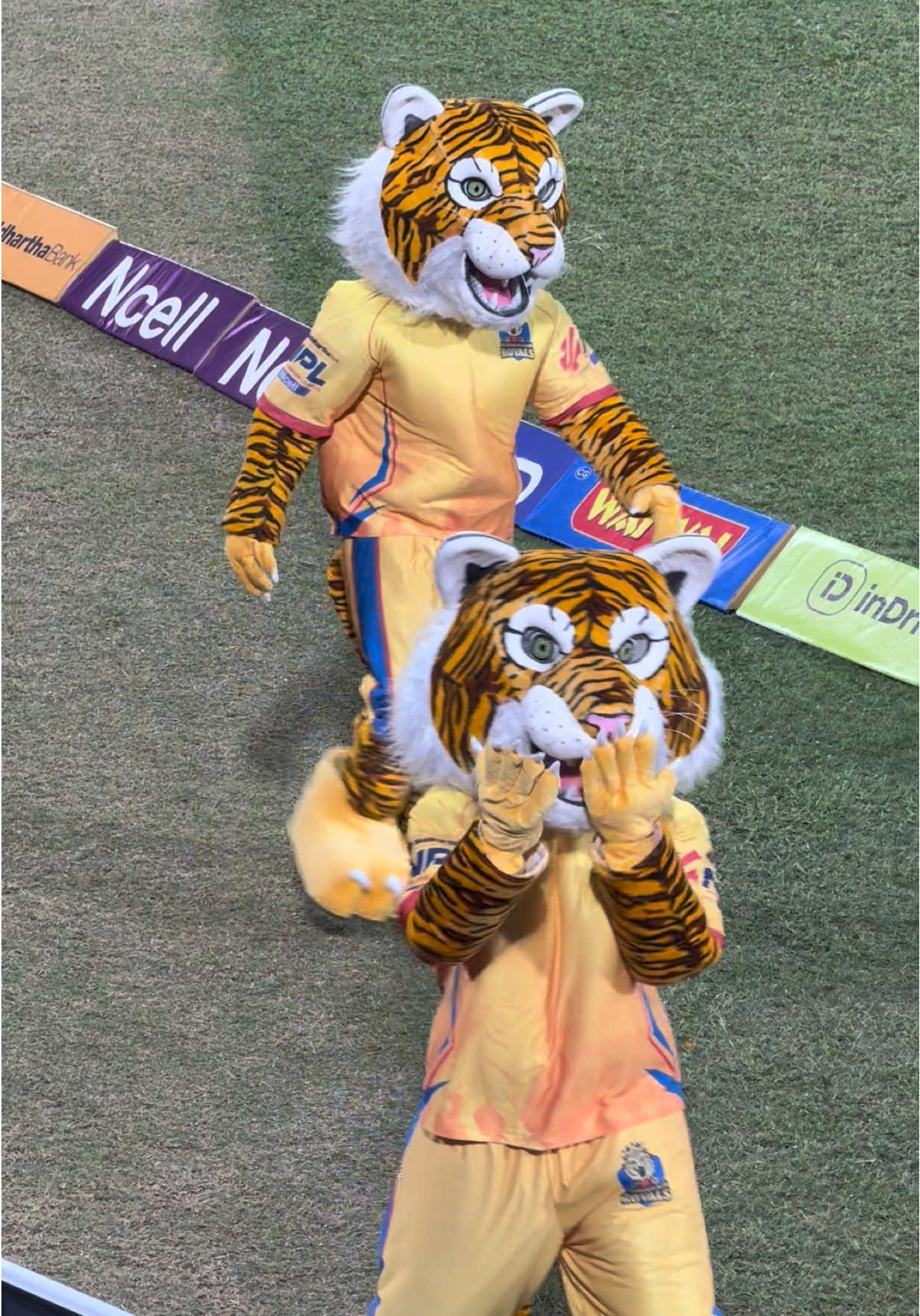 ⸻ 🐯 The tiger has entered the ground! Energy ON. Game ON. Sudurpaschim ON! 🔥 #RoyalsKaTiger #FirstGameVibes #SudurPaschimRoyals