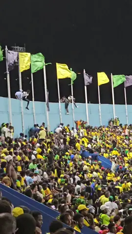 #Lil_Shordii #fypシ゚viral  Nothing to me like Jamaica 🇯🇲 🤣😂!!!