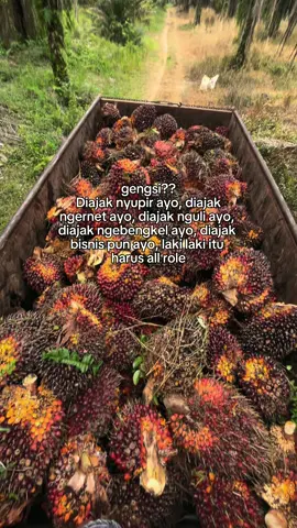 #fypシ #SANAKTIYOH #sawit 