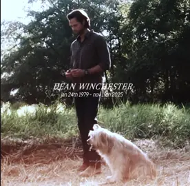 | #deanwinchester :: having a funeral in my backgarden if yall wanna join | #viral #fyp #supernaturaledit ##spnedit | ~ tags ~ @M 🌸 @em 🤝 @★𝖑𝖎𝖑𝖞𝖆𝖛𝖆★ @🧟 @hazel ୭ ˚.⁺⊹ @Lee🦇 @kyla 🫶🫎 @Impala67 @ThatLilAngel @reydreamer15 @kaz @Jasmine 🫧 @layla ౨ৎ |  