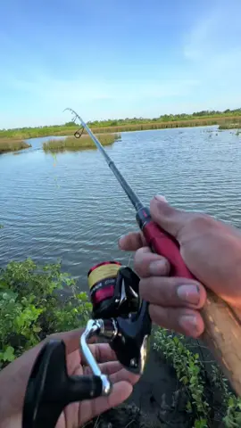 quá khứ con cá rồi ae oii#cauca #lurecachem #xuhuong 