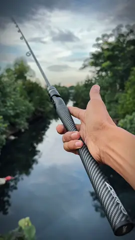 joran pancing super kuat dengan harga terjangkau berbahan carbon solid dari zorro betik #joranpancing #jorancarbonsolid #joranzorro #zorrobetik #mancing 