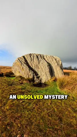 we need answers 🤔 #mystery #archeology #adventure 