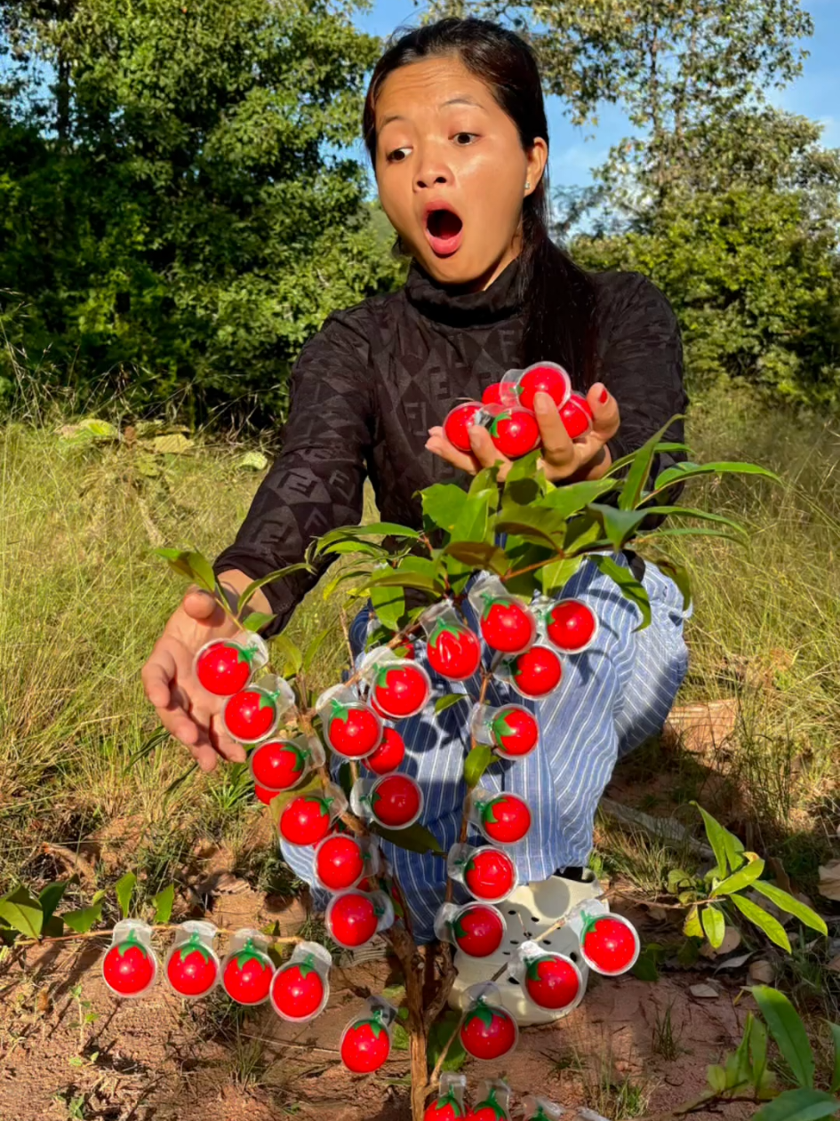 Survival candy in forest #bushcraft #camping #Outdoors #ideas 