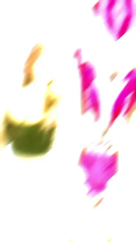 khu 9 xiêm cán gặp toi 😋#bichngan #xuhuongtiktok #fypシ゚ 