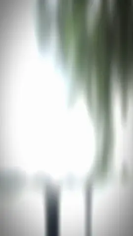 cảm ơn vì chúng ta đã gặp đc nhau ,tìm hiểu trong một hành trình dài vừa qua👩‍❤️‍💋‍👨#hauphuongvungchac❤️#hauphuongvungchac#hauphuongbodoi👮‍♂️💚#xuhuong 