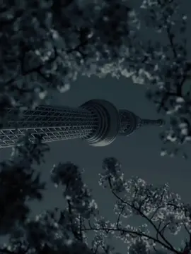 #CapCut #dianastemplate #foryou #fypage #fypシ゚ 