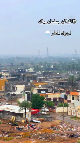 #المدائن_سلمان_باك #الشعب_الصيني_ماله_حل😂😂 #اكسبلور 