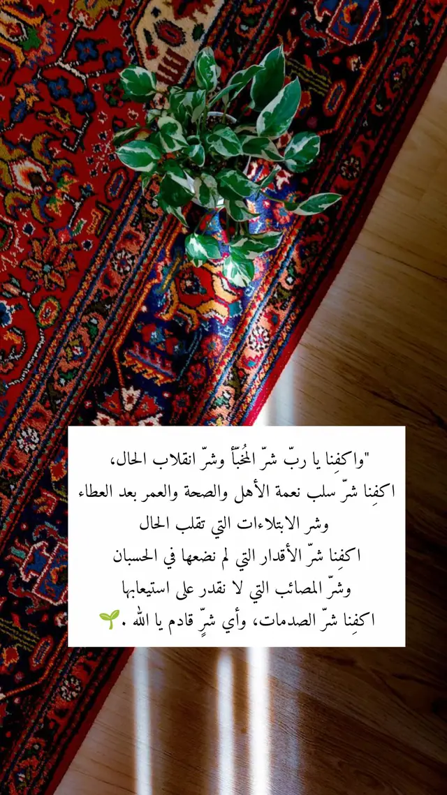 #حكم_وأمثال_وأقوال #explore #اكسبلور #fyppppppppppppppppp 