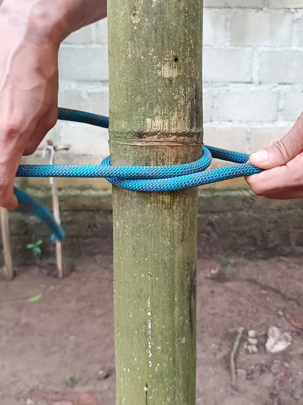 The Best Knot Ever❗ #knot #outdoor #rope #ropeknottutorial 