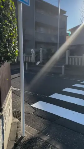 🫵🏻🇯🇵#japanlife🇯🇵 #japanvibes 