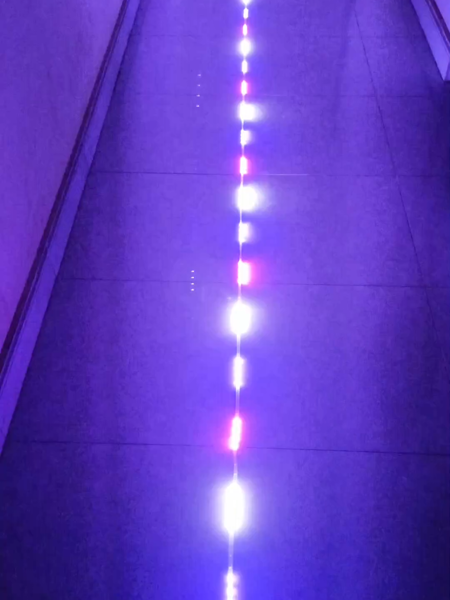 30 Mét Led Nháy Đuổi nhiều màu#denled #dentrangtri #daydenledtrangtri #daydenled #den 