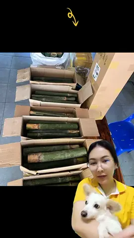 #กระบอกข้าวหลาม ชุด 50 กระบอก  #ไม้ไผ่ #ไผ่ทำข้าวหลาว 