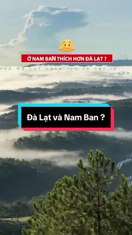 Nam Ban Lâm Hà 🌿 , vùng đất được thiên nhiên ưu đãi, cách Đà Lạt 10km, bình yên và thơ mộng để định cư 📸 ☁️#deotanung #nambanlamha #manhdatvendalat #dalat #nghiduong 
