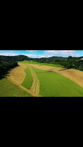 Hayatı akışına mi bıraksak günler geçiyor #tarimteknolojileri #tarımteknolojileri 