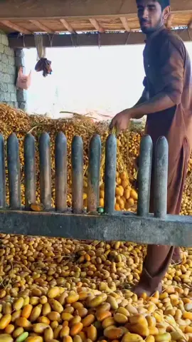 #foryou #foryoupage #trending #fypツ #tiktok @🅙🅐🅝🅝🅐🅣 @❤️ Pinky akter ❤️ @Nasrin Akter @◌⑅⃝AMAN(˘KHANෆ˘Offciall꜀⑅⃝◌💞 @❥»̶̶͓͓̽̽⑅⃝   মানতাসা❥»̶̶͓͓̽̽⑅⃝ @⋆⃝𝄞༅༎🅜🅓.🅕🅞🅨🅢🅞🅛༅༎⋆⃝𝄞 @🇹 🇺 🇭 🇮 🇳 @bdK @𝄞⋆⃝  ᴊᴇsᴍɪɴ ⋆⃝𝄞 @❤️সিমা ❤️ @Mdra Shed @⍥⃝🇧🇩হিট-মনি⍥⃝🇧🇩 @﷽ ϻɪꜱꜱ♡ᴀʏᴇsʜᴀ✓﷽ @🔥Hakim..on..Fire🔥 @🕋❣️ᕼ𝔦ŕᾰ❣️H☆A═━🕋 @🇸 🇵 ♨️ 🇸 🇺 🇲 🇴 🇳  ⛔🅾️❓ 