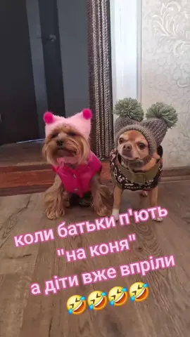 #цьогодня 