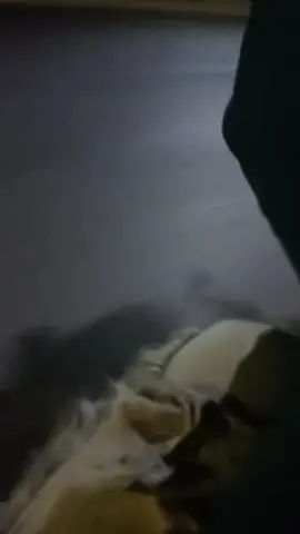 عمام المجاال😘🫵🏻#ابوالشاادلي🥇#@(عايز تغيظه هات له )زيزو 🏅☝️ #@محمودابوعز🦅✨.. #@كريم ابوايمن🥇👑 #@َرحم الله اخي(عبدالرحمن) 