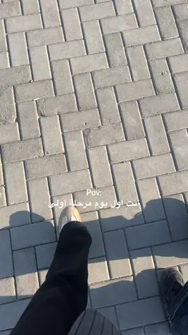 ضيعت قسمي ألف مرة😭😂😂 #البصرة #مالي_خلق_احط_هاشتاقات #جامعة_البصرة #fyp #شعب_الصيني_ماله_حل😂😂 