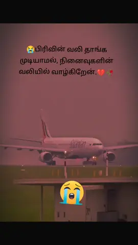 Saudi Arabia 🇸🇦🇸🇦🇸🇦🇸🇦🇸🇦🇸🇦 Riyadh 🇸🇦🇸🇦🇸🇦🇸🇦🇸🇦