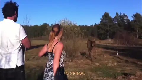 Primal Instinct 🔥 | #primal #edit #fy #instinct #viral 