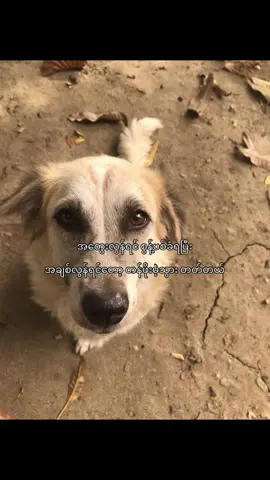 #lyrics #xyzbca #foryou #moots? 