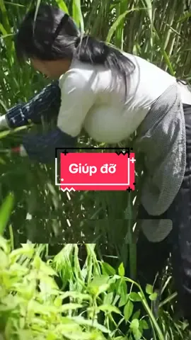 Tại sao người giàu thường không muốn giúp đỡ người thân nghèo #sachhay #trietlycuocsong #trietlysong #baihoccuocsong  